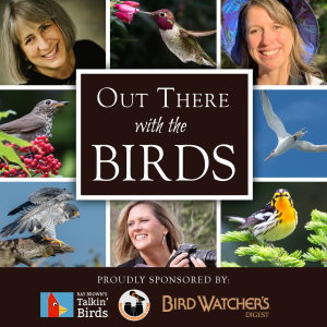 Out There With the Birds-logo