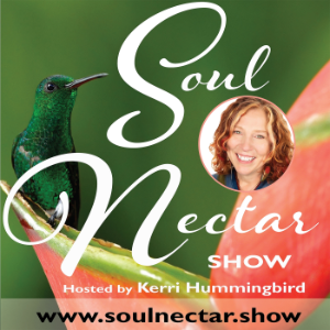 Soul Nectar Show with Kerri Hummingbird-logo