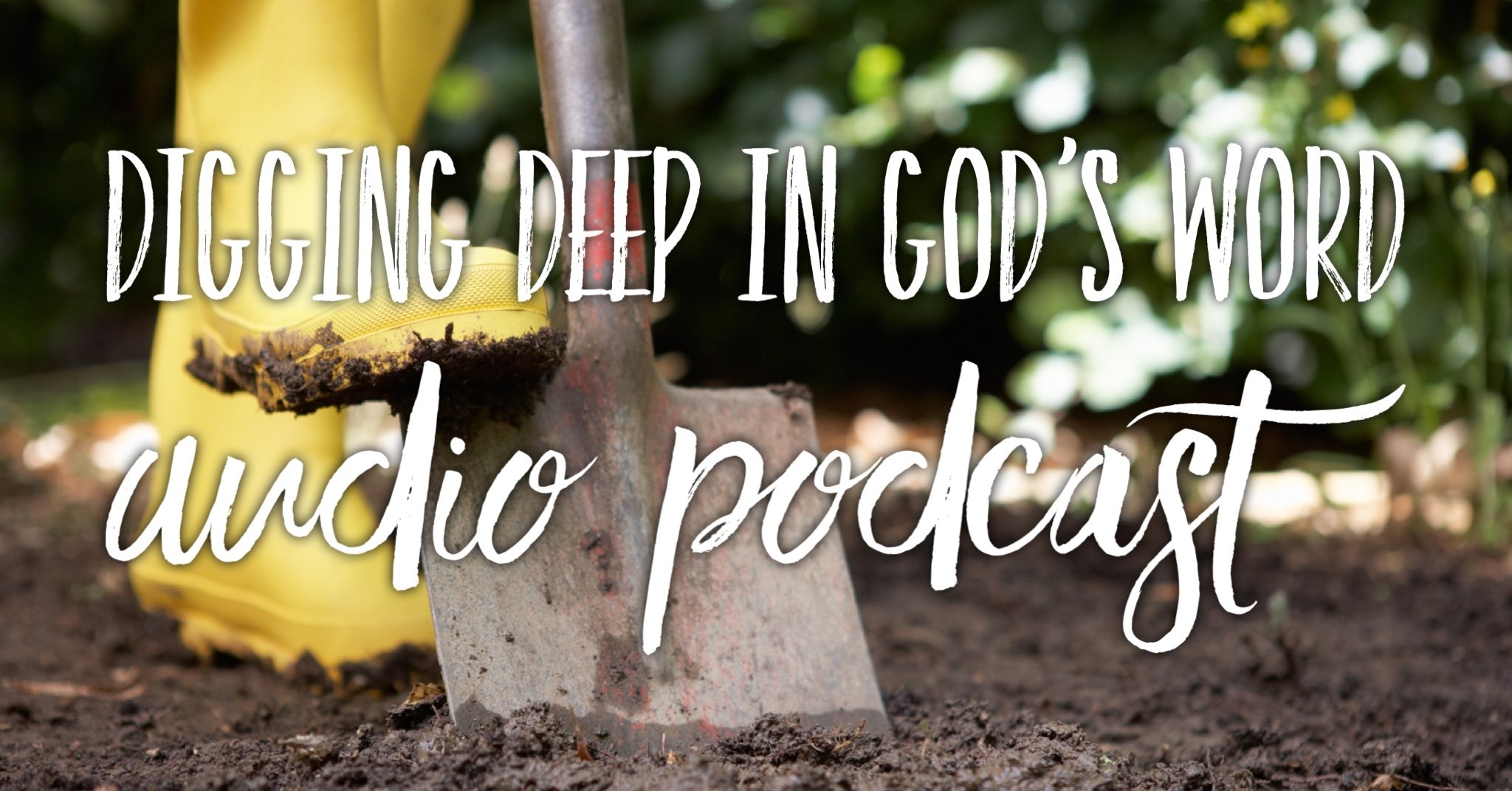 Digging Deep in God's Word
