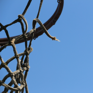 My Friend Chuck-logo