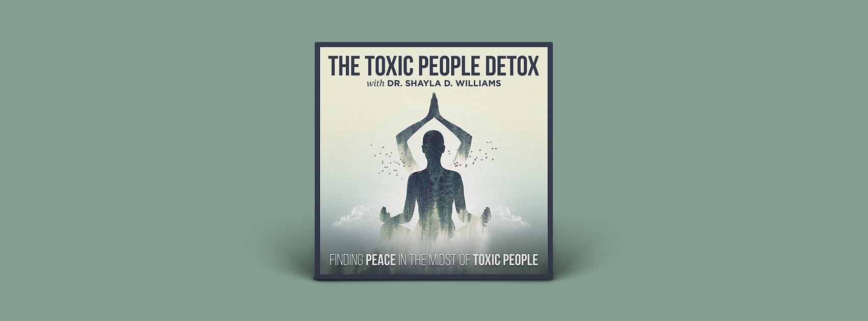 The Toxic People Detox