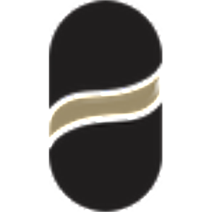 Renovating Riches-logo