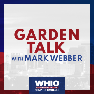 Stream Gardening Free Internet Radio Tunein