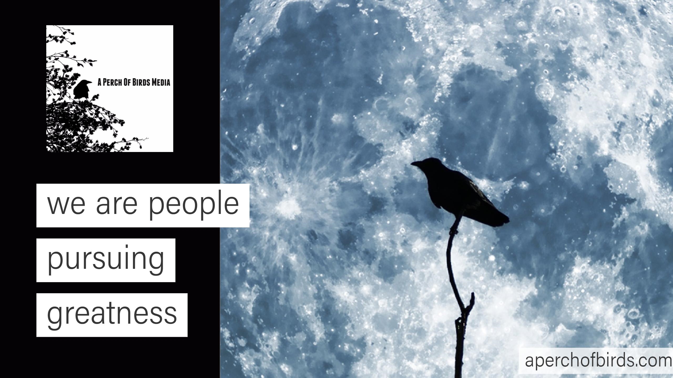 Interviews with People Pursuing Greatness