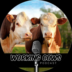 Working Cows - Regenerative Ranching to Maximize Profitability and Soil Health-logo