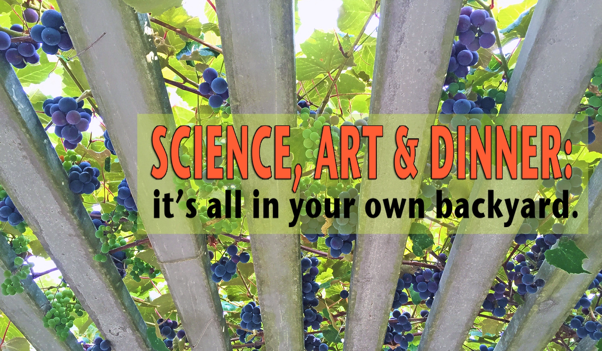 Plantrama - plants, landscapes, & bringing nature indoors