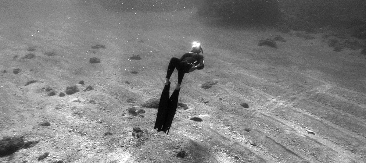 The Freedive Cafe Podcast
