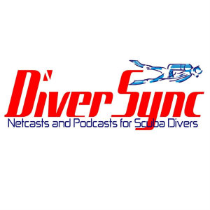 DiverSync-logo