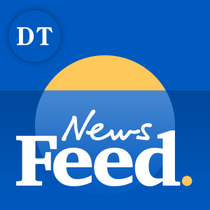 Daily Telegraph - News Feed-logo