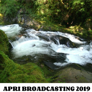 APRI Broadcasting 2018-logo