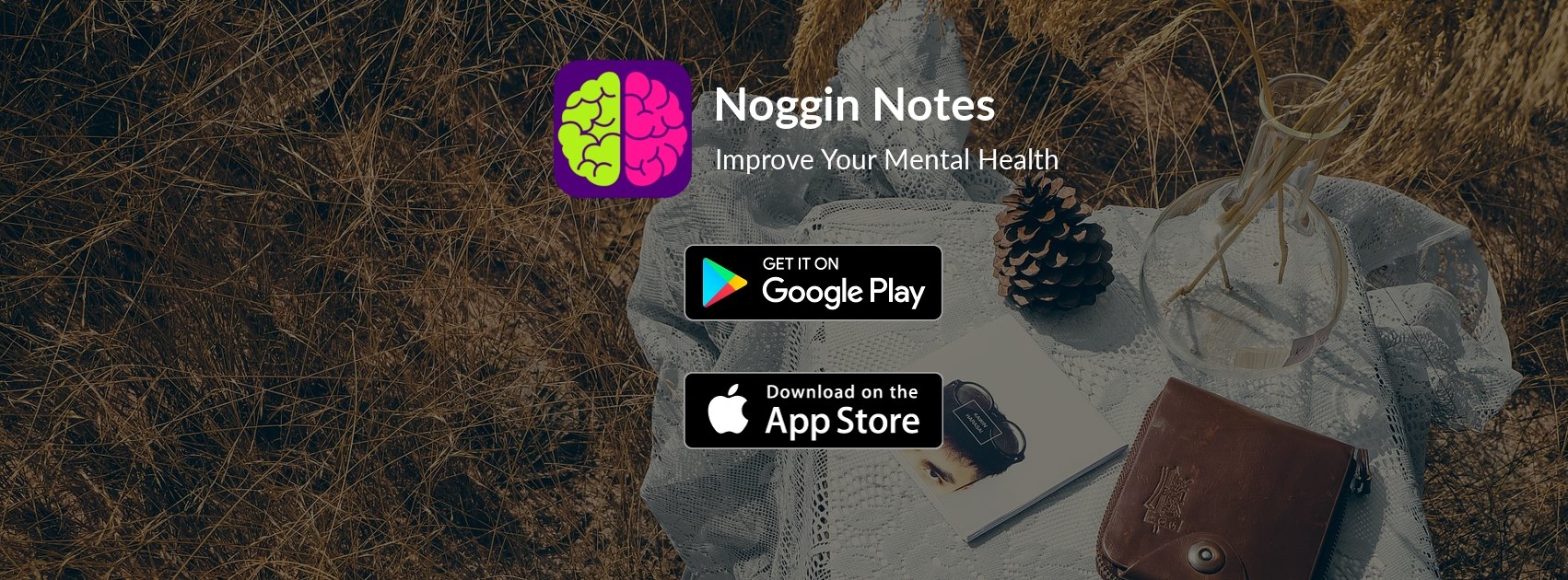 Noggin Notes Podcast