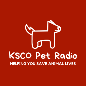 Pets Fighting Loneliness — HABRI’s Feldman