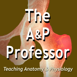 The A&P Professor-logo