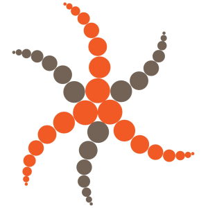 Cybersecurity, Privacy, Risk Management, Cryptocurrencies, Fintech, Information Technology-logo