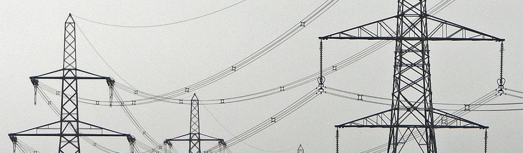 The Mispronounced Item