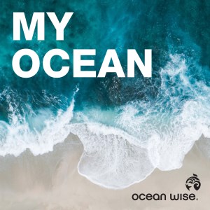 My Ocean-logo