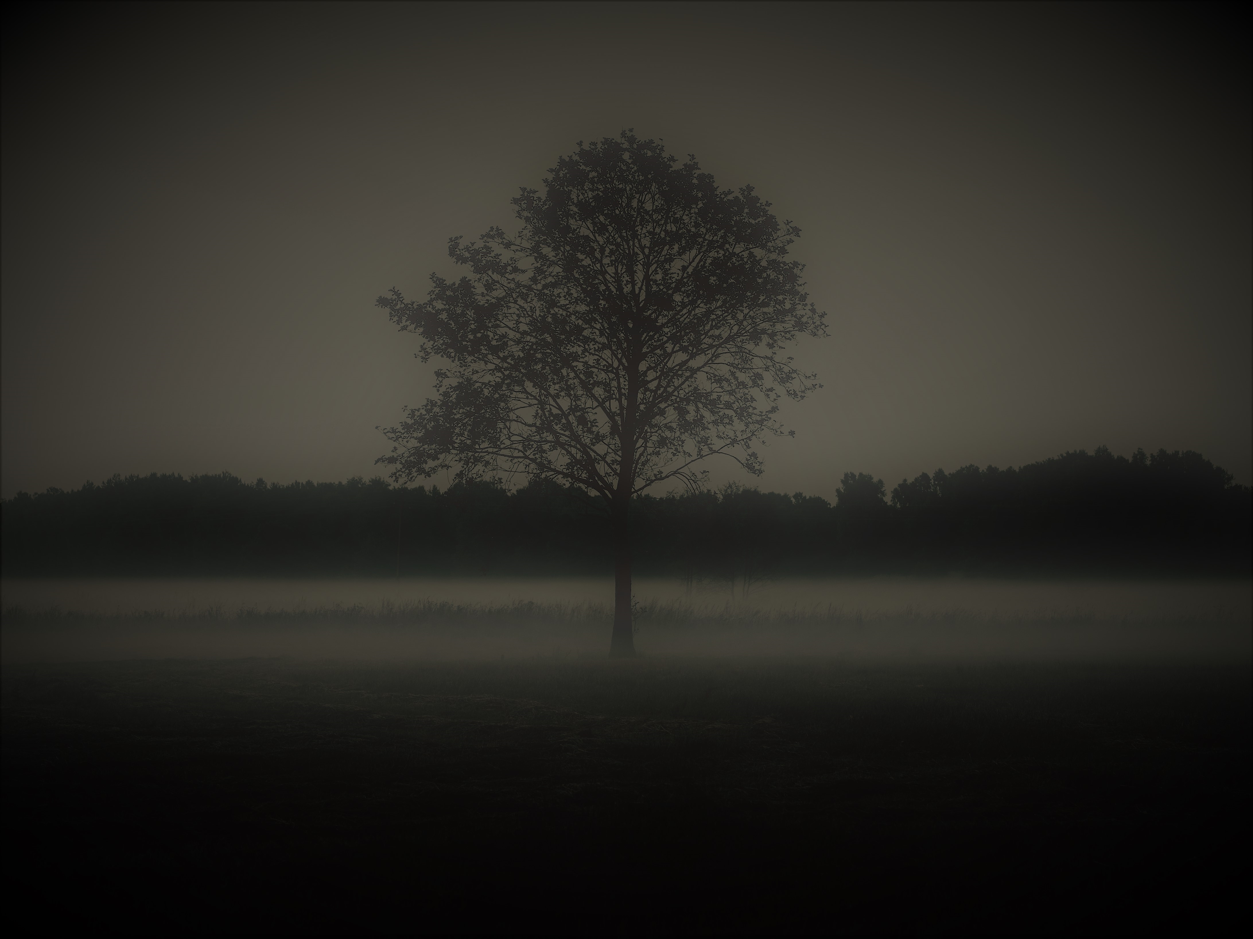 On a Dark, Cold Night