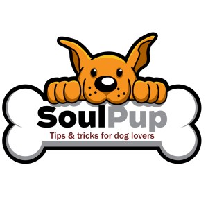 SoulPup: Tips & Tricks for Dog Lovers-logo