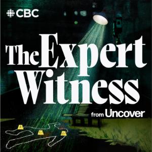 The Expert Witness from Uncover