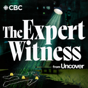 The Expert Witness from Uncover