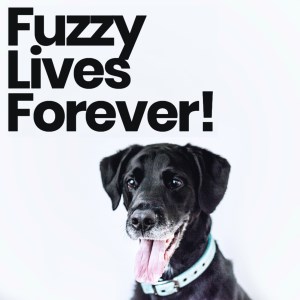 Fuzzy Lives Forever!-logo