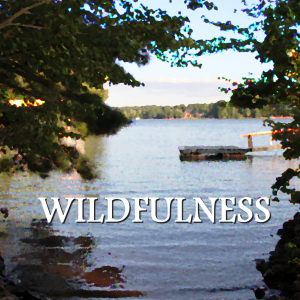 Wildfulness: On Nature, Wellness, and Life in the Allegany Highlands Deep Creek-logo