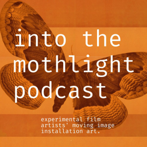 Into the Mothlight Podcast-logo