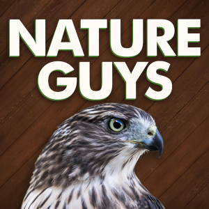 Nature Guys-logo
