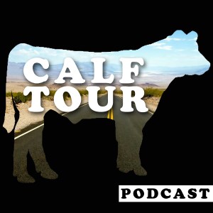 Calf Tour-logo