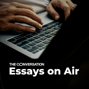 Essays On Air-logo