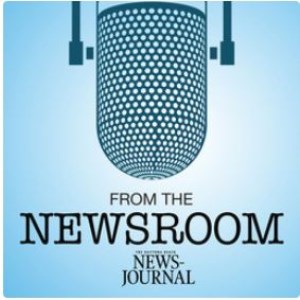 From the Newsroom: The Daytona Beach News Journal-logo