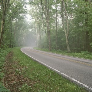 Following the Way-logo