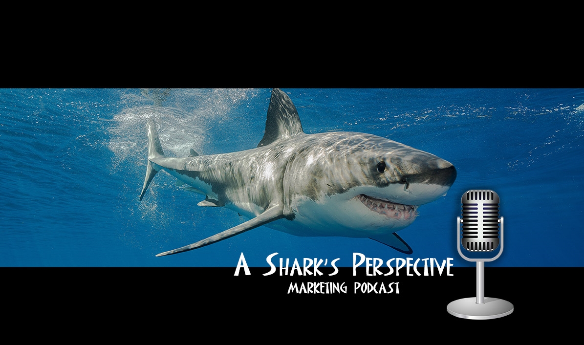 A Shark's Perspective