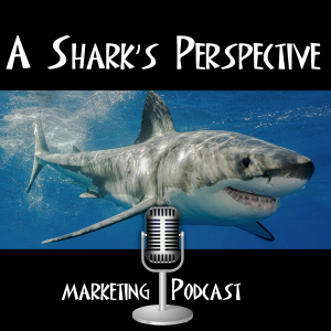 A Shark's Perspective-logo