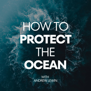 How To Protect The Ocean-logo