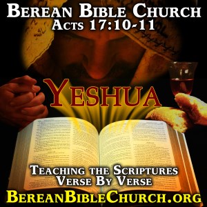 Berean Bible Church - Virginia-logo