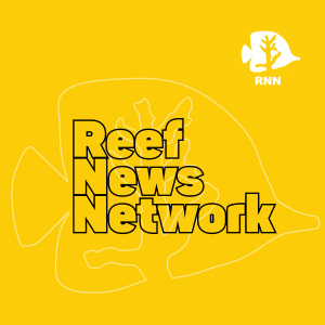 Reef News Network-logo