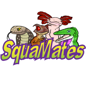 SquaMates-logo
