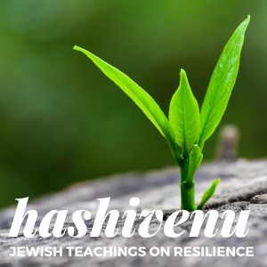 Hashivenu-logo