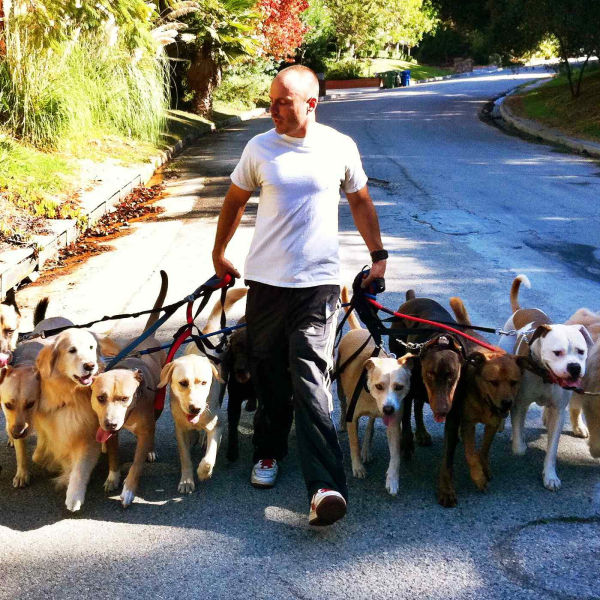 The Good Dog's Q&A Saturday! Listen to Podcasts On Demand Free TuneIn