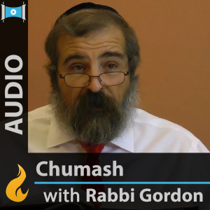 Daily Chumash with Rashi-logo