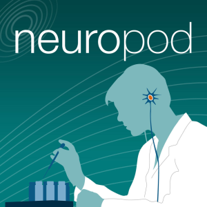 NeuroPod: November 2015