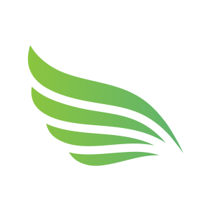 Light FM Lebanon-logo