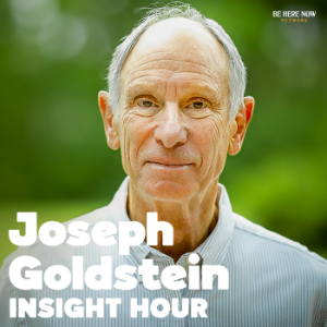 Insight Hour with Joseph Goldstein-logo
