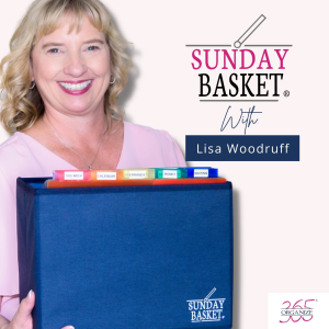 Lisa's Organization Story 2007