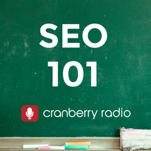 SEO 101 on WebmasterRadio.fm-logo