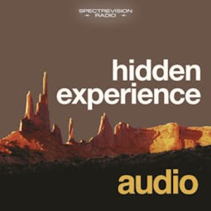 hidden experience audio-logo