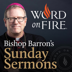 Bishop Barron’s Sunday Sermons - Catholic Preaching and Homilies-logo