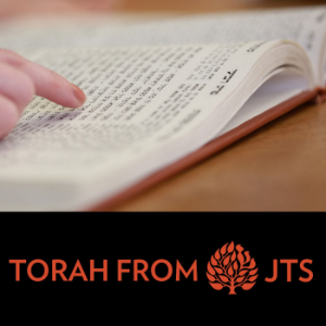 JTS Torah Commentary-logo