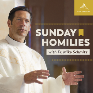 Sunday Homilies with Fr. Mike Schmitz-logo